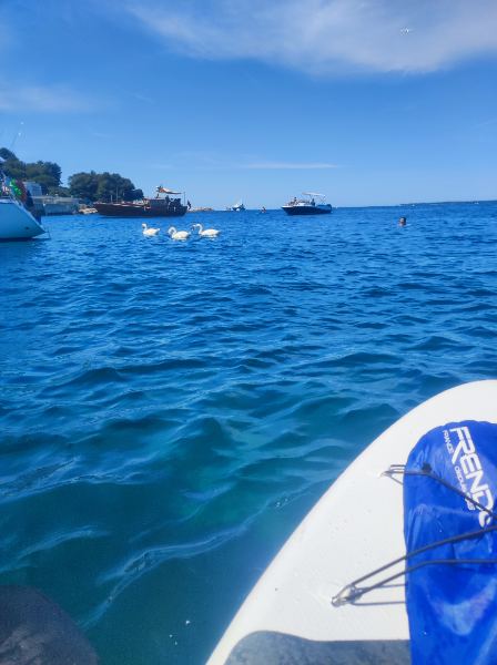 image IMG_20220612_105812