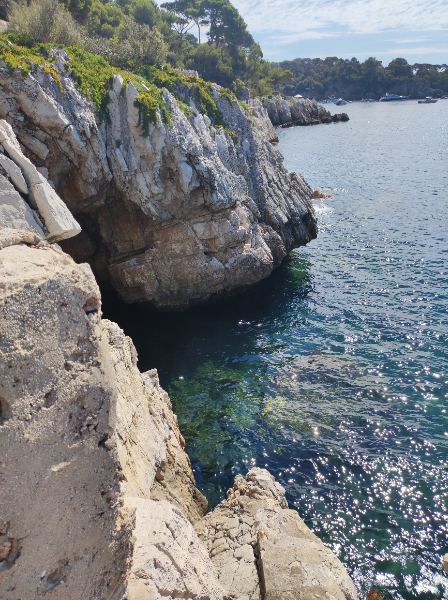 image IMG_20220709_105035